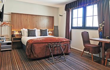 Business Class Queen Studio